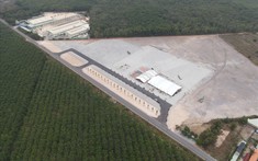 Giao 196ha đất để xây dựng dự án Khu công nghiệp Việt Nam - Singapore III