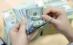 Giá USD tăng cao, doanh nghiệp thép lao đao vì áp lực tỉ giá