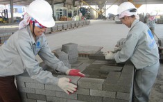 Việt Nam hướng tới “cách mạng xanh” trong sản xuất vật liệu xây dựng