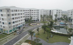 Quy định về bố trí quỹ đất xây dựng nhà ở xã hội tại các dự án 