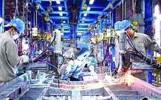 Việt Nam đặt mục tiêu hình thành các tập đoàn, doanh nghiệp đa quốc gia