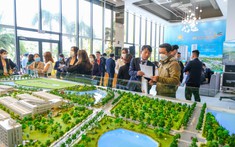 Thị Trường Đang Ở Thời Điểm Có Lợi Cho Người Mua Vững Tài Chính