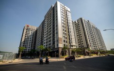 Từ Diễn Biến “Hồi Sức” Của Một Số Ngành Hàng, Tìm Cơ Hội Cho Nhà Đầu Tư