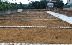 Đất Nền Hòa Lạc Tiếp Tục Thoái Trào