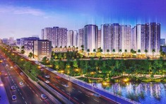 Vị Trí Akari City Bình Tân Có Gì Đặc Biệt? Đánh Giá Khách Quan Nhất Từ Batdongsan.com.vn