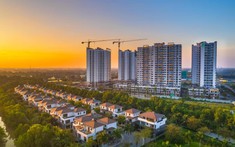Mizuki Park Giai Đoạn 2 Gồm Những Tòa Nào? Tiến Độ, Giá Bán Hiện Tại Ra Sao?