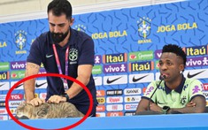 'Quàng thượng' làm gián điệp cho Croatia, phá đám tuyển Brazil