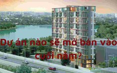 Dự án nào sẽ mở bán vào cuối năm?