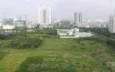 Hà Nội thông qua danh mục 1.456 công trình, dự án chuyển mục đích đất trồng lúa năm 2023