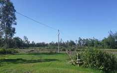 Bình Định khuyến cáo người dân trong việc chuyển nhượng quyền sử dụng đất sản xuất