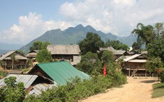 Vùng đặc biệt khó khăn có được giao đất không qua đấu giá?