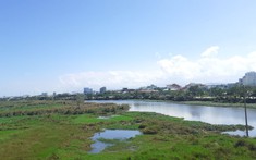 Quảng Nam sắp có thêm khu nhà ở 525 ha ven sông Tam Kỳ