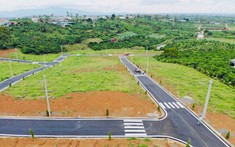 Diễn biến trái ngược giữa nguồn cung và giao dịch nhà đất tại Lâm Đồng