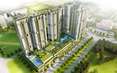 Chi Tiết Mặt Bằng Feliz En Vista Quận 2