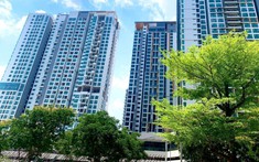 Feliz En Vista Địa Chỉ Ở Đâu? Kết Nối Giao Thông, Tiện Ích Có Thuận Lợi?