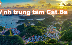 Hải Phòng đấu giá dự án 2.125 tỷ Vịnh trung tâm Cát Bà