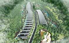 The Green Valley: Dự án đất nền tại Lâm Đồng