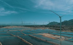 ADB cấp khoản vốn 107 triệu USD cho BIM Wind phát triển trang trại điện gió tại Ninh Thuận