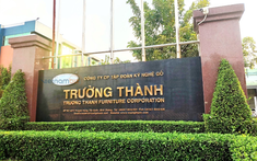 Mua hơn 30 triệu cổ phiếu TTF, người vừa trở thành cổ đông lớn của Gỗ Trường Thành là ai?