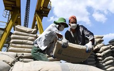 11 doanh nghiệp xi măng Việt Nam bị áp thuế tại Philippines
