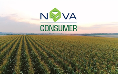 HoSE dừng xem xét hồ sơ niêm yết của Nova Consumer