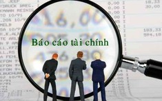 Một công ty bị xử phạt vì lỗ gấp 8 lần sau soát xét nhưng vẫn công bố sai lệch