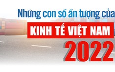 Bức tranh kinh tế Việt Nam 2022 - những con số ấn tượng