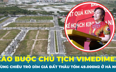 Chủ tịch Vimedimex bị cáo buộc dùng chiêu trò dìm giá đất để thâu tóm 49.000m2 ở Hà Nội