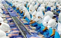 Năm 2022, tổng kim ngạch xuất nhập khẩu Việt Nam đạt 732 tỷ USD
