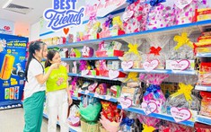 Ưu đãi lớn dành tặng phụ nữ Việt Nam nhân ngày 08/3
