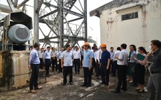 Trình phương án xử lý dứt điểm Dự án Nhà máy bột giấy Phương Nam