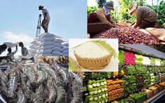 Quyết liệt tháo gỡ khó khăn, thúc đẩy sản xuất, xuất khẩu lâm sản và thuỷ sản