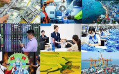 Chú trọng tháo gỡ khó khăn, vướng mắc cho sản xuất, kinh doanh, thúc đẩy phát triển kinh tế - xã hội