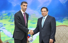 Hoàn thành sớm nhất việc đàm phán Hiệp định Đối tác kinh tế toàn diện Việt Nam-UAE