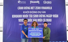 Đẩy mạnh dự án “Cánh Rừng Net Zero”, Vinamilk khoanh nuôi tái sinh 25ha rừng ngập mặn Cà Mau