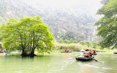 Đầu tư xanh là ưu tiên hàng đầu đối với phục hồi và phát triển du lịch