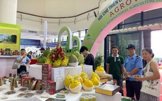 Tuyên truyền, đẩy mạnh tiêu thụ sản phẩm đặc trưng, đặc sản khu vực miền núi, vùng sâu, vùng xa và hải đảo trên sàn thương mại điện tử năm 2023