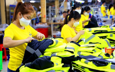 Bật cơ chế 'cảnh báo sớm', doanh nghiệp xuất khẩu chủ động trong phòng vệ thương mại