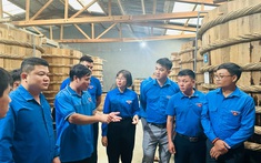 Điện Biên tổ chức Hội nghị tập huấn hỗ trợ triển khai Chương trình Trí thức trẻ tình nguyện tham gia xây dựng nông thôn mới năm 2023