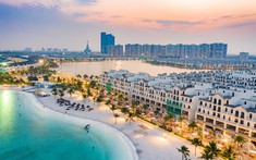 Giải Mã Các Nhân Tố Giúp VMI Trở Thành Mô Hình Đầu Tư Tiên Phong Khắp Cả Nước