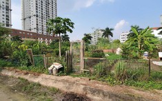 Môi Giới Đất Nền Khó Thành Công Khi Chuyển Sang Bán Căn Hộ