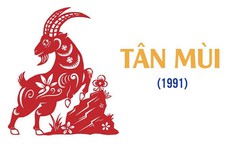 Tuổi Tân Mùi 1991 Xây Nhà Năm 2023 Có Tốt Không?
