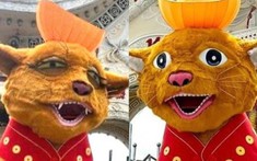 Chú mèo uể oải tại khu du lịch Suối Tiên được 'phẫu thuật thẩm mỹ', nhan sắc hiện tại nhận mưa lời khen