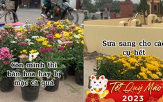 Chàng trai đem hết hoa đang bán lên nghĩa trang, quyết không bán rẻ