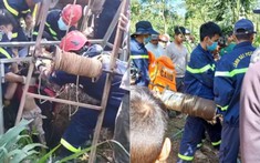 Bé trai 3 tuổi rơi xuống giếng tử vong khi theo mẹ lên rẫy thu hoạch cà phê tại Đắk Lắk