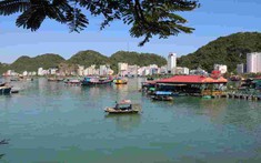 Hải Phòng đấu giá lần 2 khu đất Vịnh Trung tâm Cát Bà, giá khởi điểm hơn 2.100 tỉ đồng