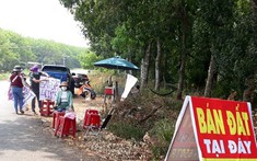 Giao dịch đất nền bật tăng