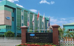 TTF bị cắt margin, một cổ đông lớn Gỗ Trường Thành "ngậm ngùi" cắt lỗ hơn 30 triệu cổ phiếu