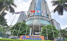 Viglacera báo lãi kỷ lục nhờ mảng bất động sản khu công nghiệp