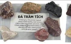 Đá trầm tích và những ứng dụng thực tế trong xây dựng